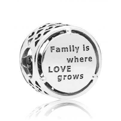 Pandora Joya charm plata Raíces Familiares 797590