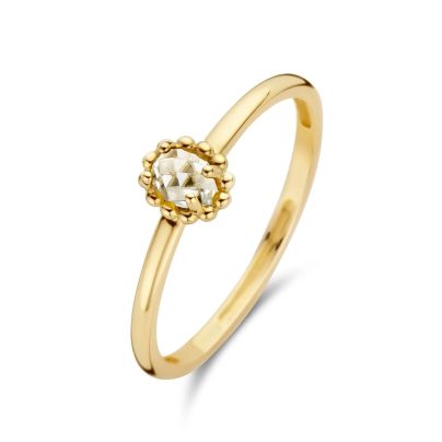 Blush Schmuck Damenring 585 Gold 1227YWT